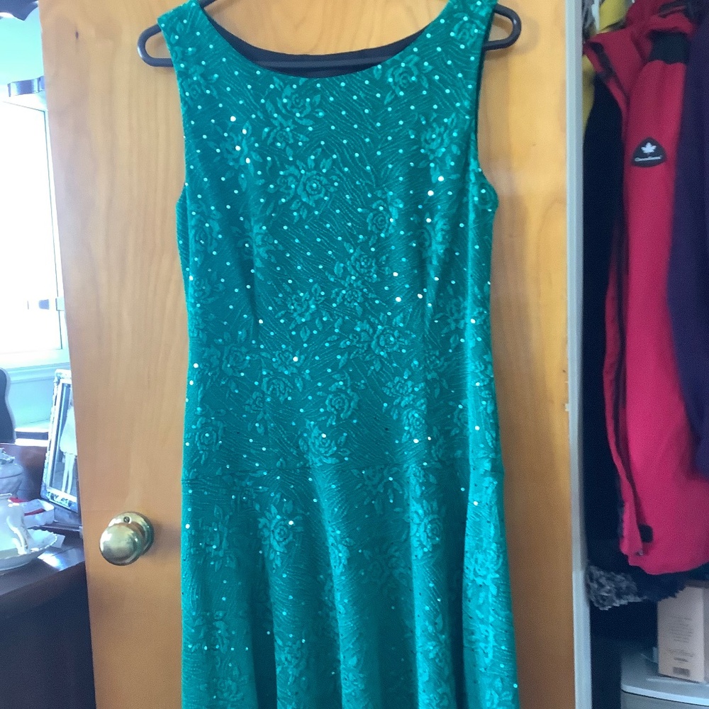 Sz10 Green Fit ‘n Flare Dress NWOT
